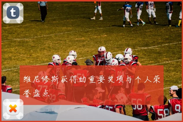 维尼修斯获得的重要奖项与个人荣誉盘点