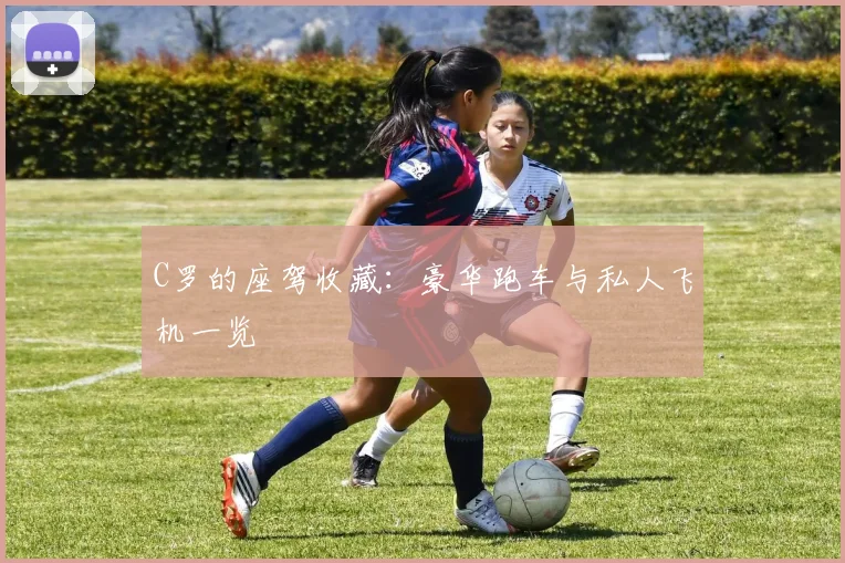 C罗的座驾收藏:豪华跑车与私人飞机一览
