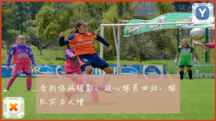 告别伤病阴影,核心球员回归,球队实力大增