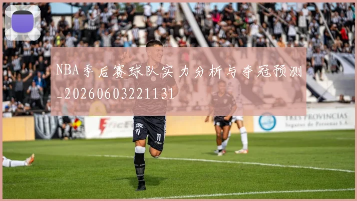 NBA季后赛球队实力分析与夺冠预测_20260603221131
